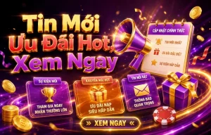 Tin nổi bật ziyueye